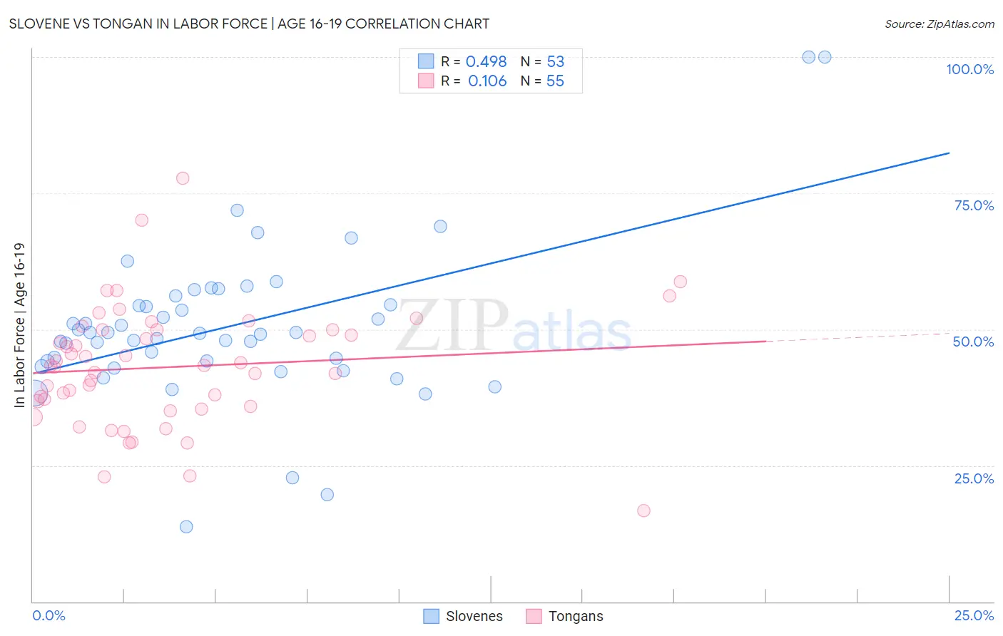 Slovene vs Tongan In Labor Force | Age 16-19
