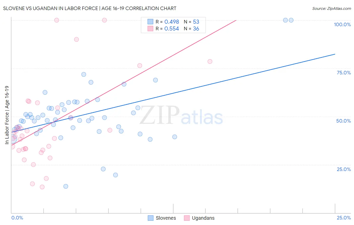 Slovene vs Ugandan In Labor Force | Age 16-19
