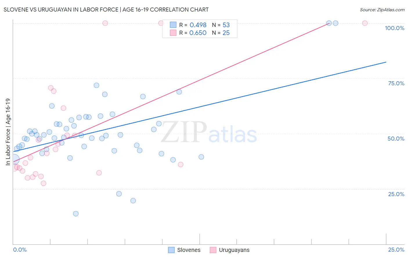 Slovene vs Uruguayan In Labor Force | Age 16-19