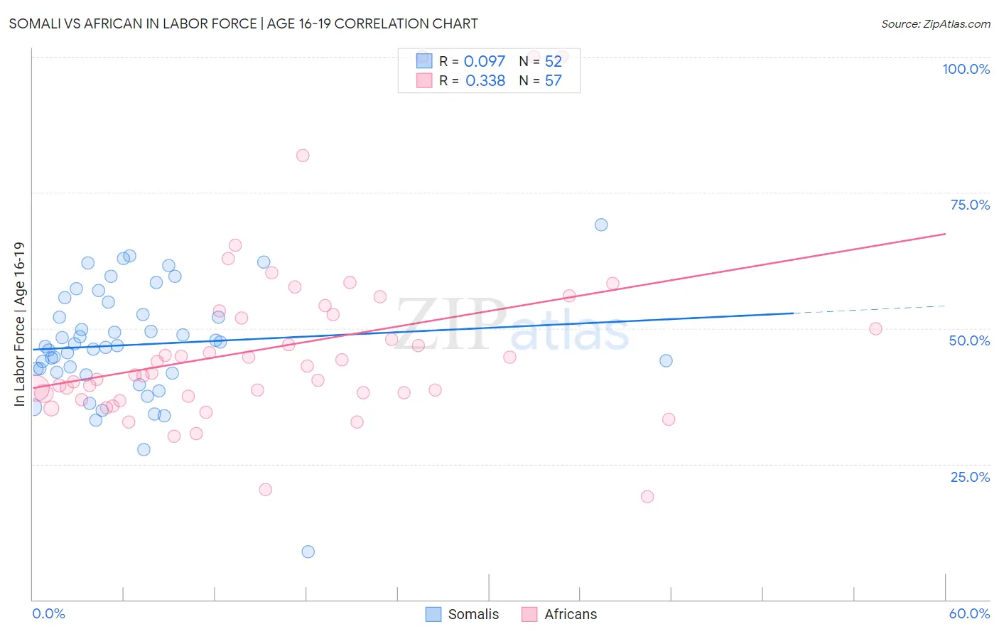 Somali vs African In Labor Force | Age 16-19