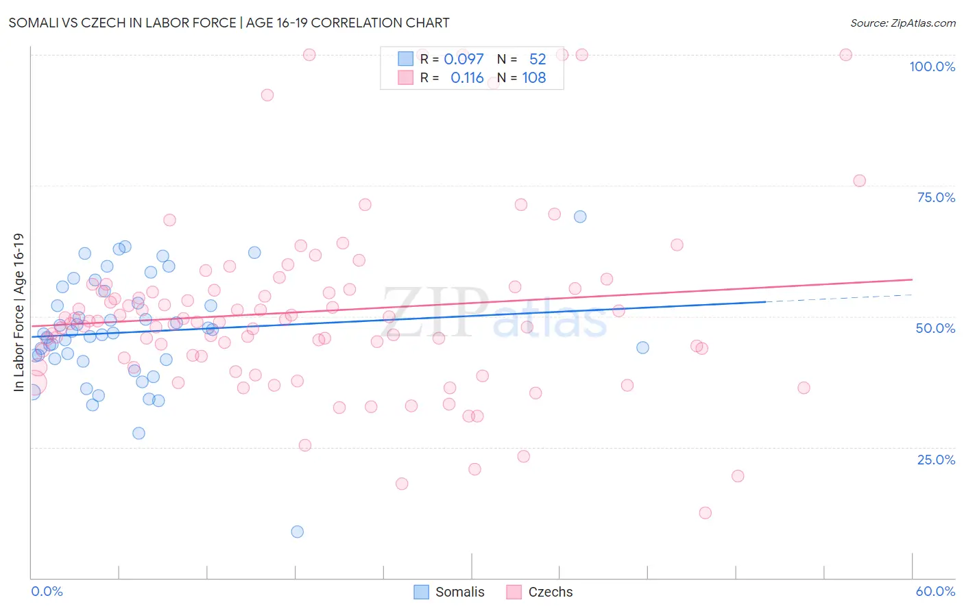 Somali vs Czech In Labor Force | Age 16-19
