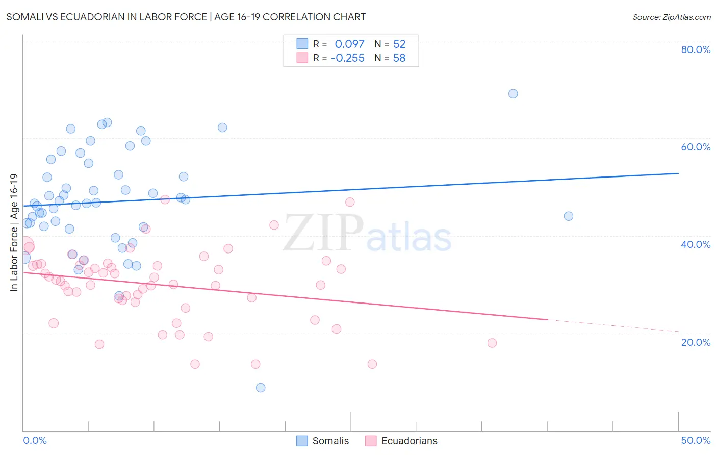Somali vs Ecuadorian In Labor Force | Age 16-19