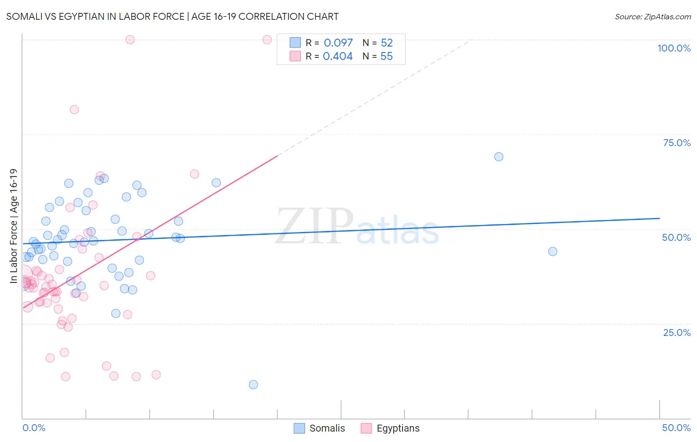 Somali vs Egyptian In Labor Force | Age 16-19