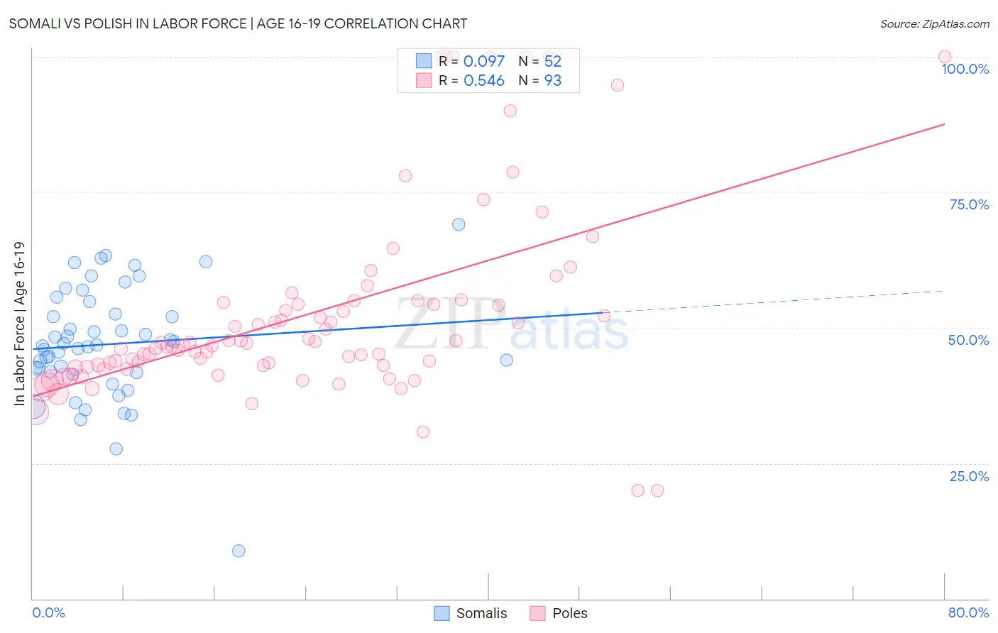 Somali vs Polish In Labor Force | Age 16-19