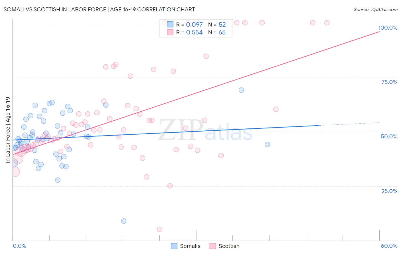 Somali vs Scottish In Labor Force | Age 16-19