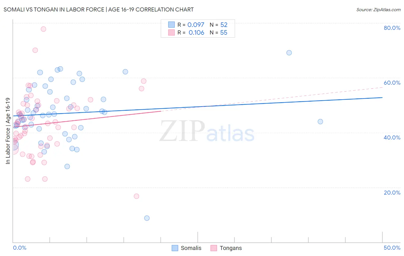Somali vs Tongan In Labor Force | Age 16-19