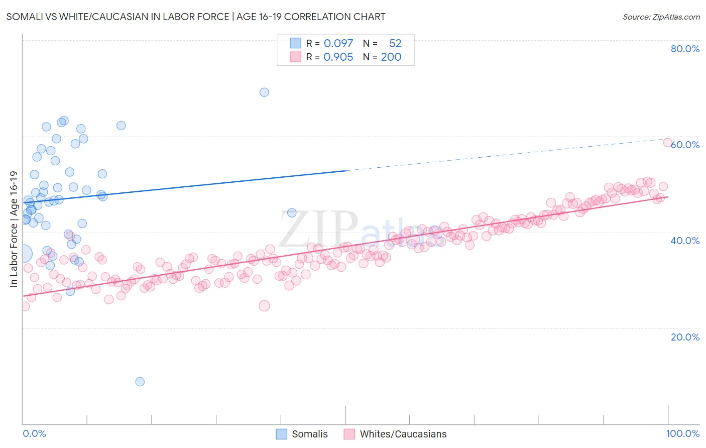 Somali vs White/Caucasian In Labor Force | Age 16-19