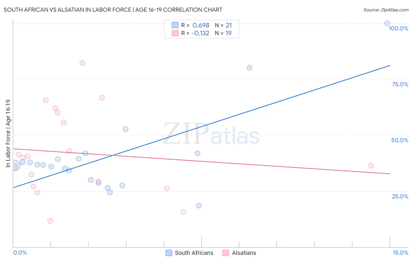 South African vs Alsatian In Labor Force | Age 16-19