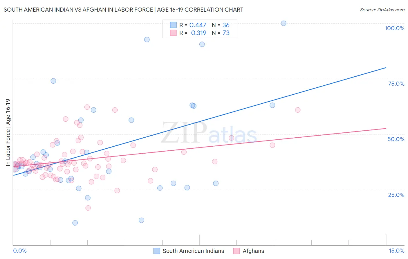 South American Indian vs Afghan In Labor Force | Age 16-19