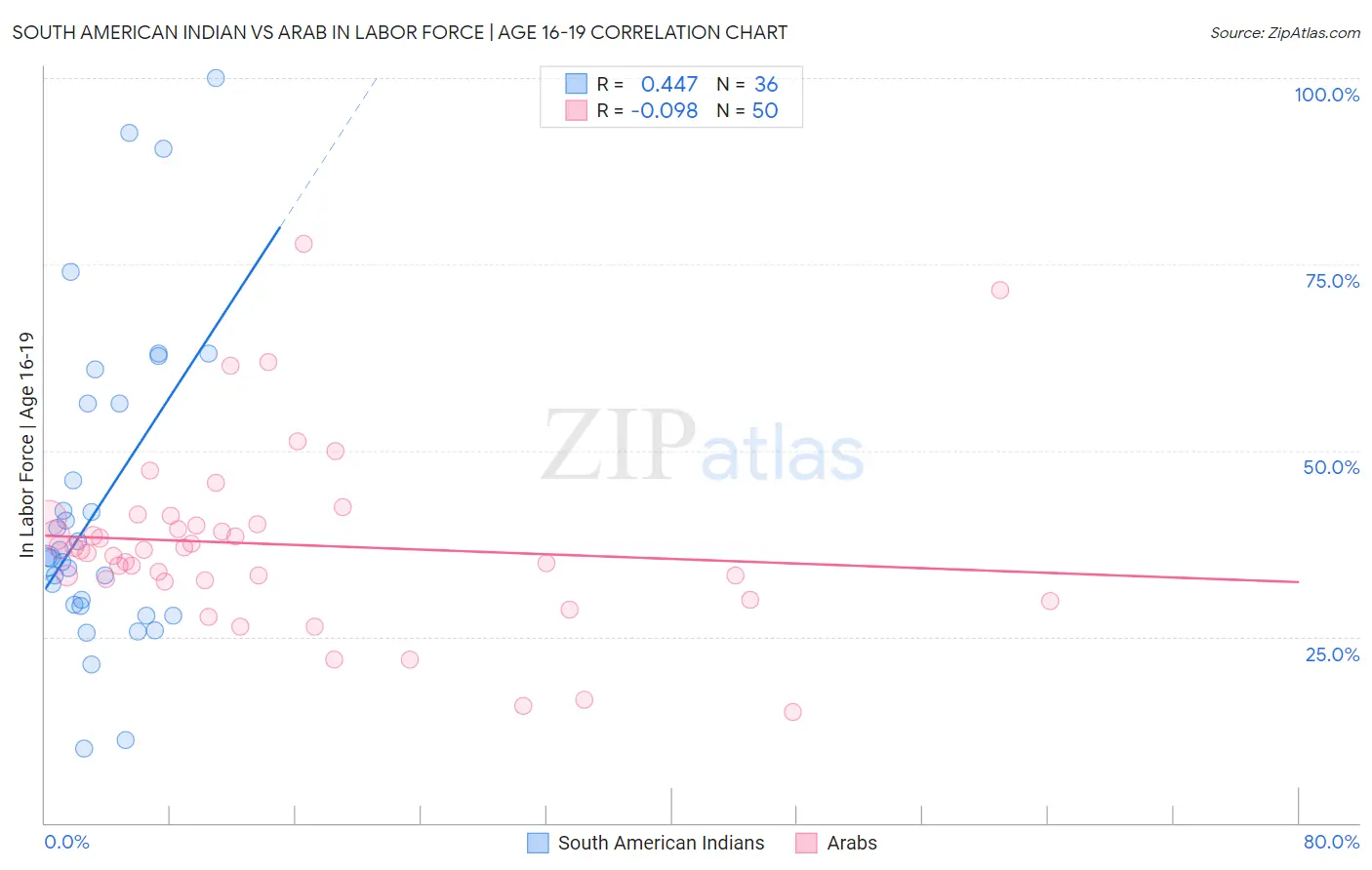 South American Indian vs Arab In Labor Force | Age 16-19