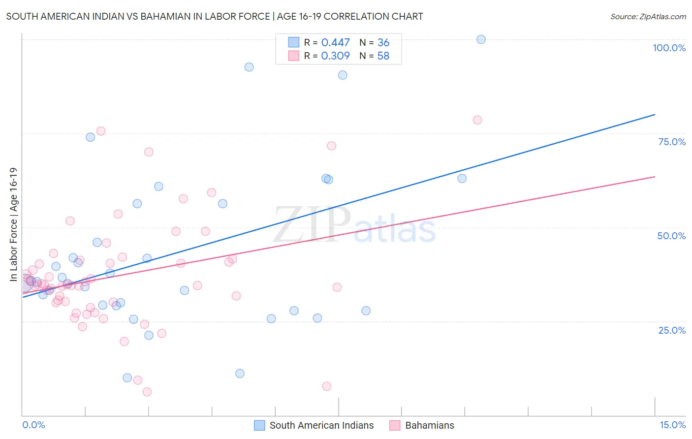 South American Indian vs Bahamian In Labor Force | Age 16-19