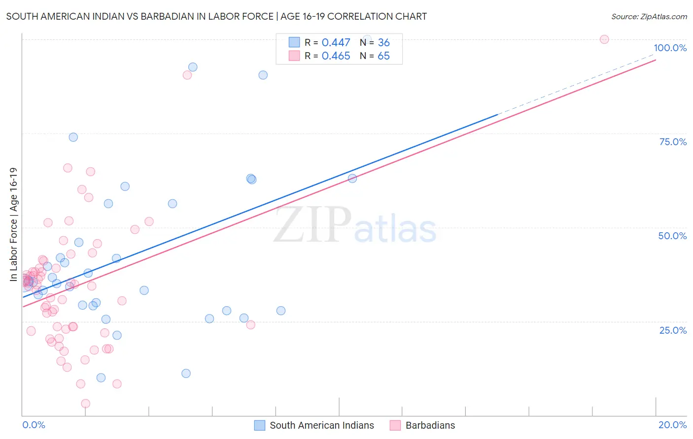 South American Indian vs Barbadian In Labor Force | Age 16-19