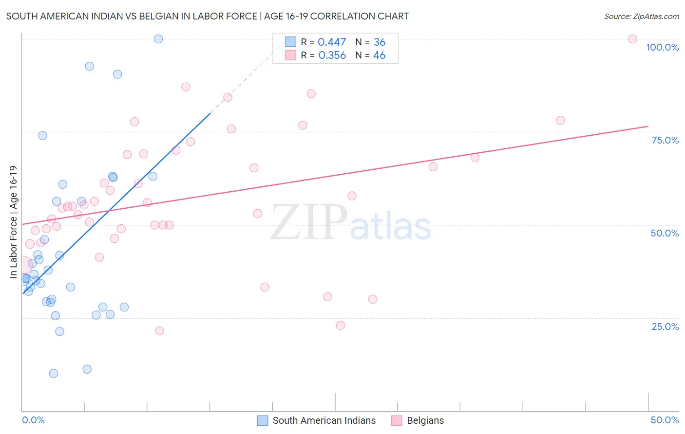 South American Indian vs Belgian In Labor Force | Age 16-19