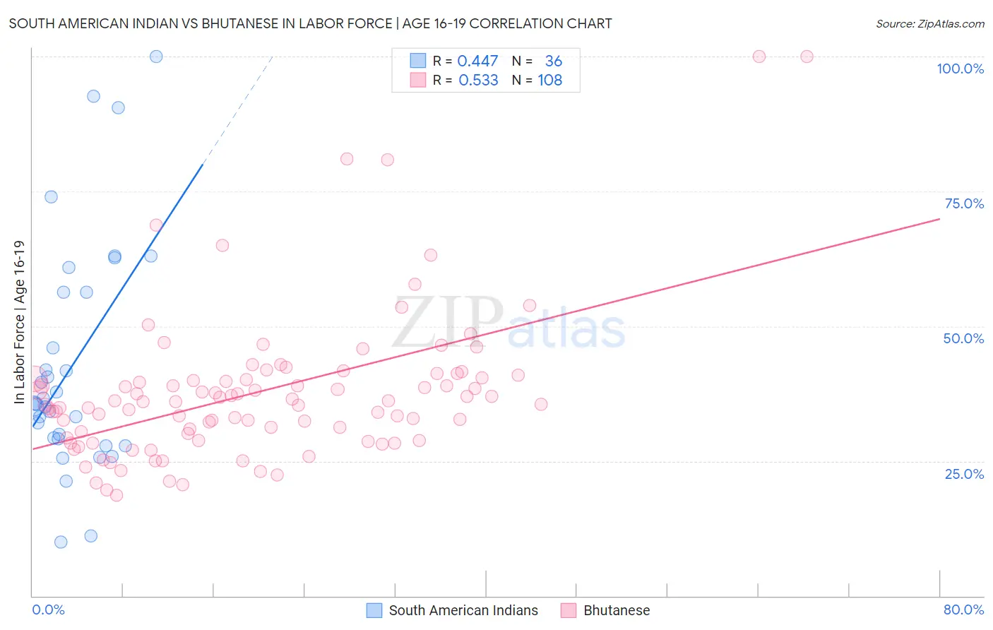 South American Indian vs Bhutanese In Labor Force | Age 16-19