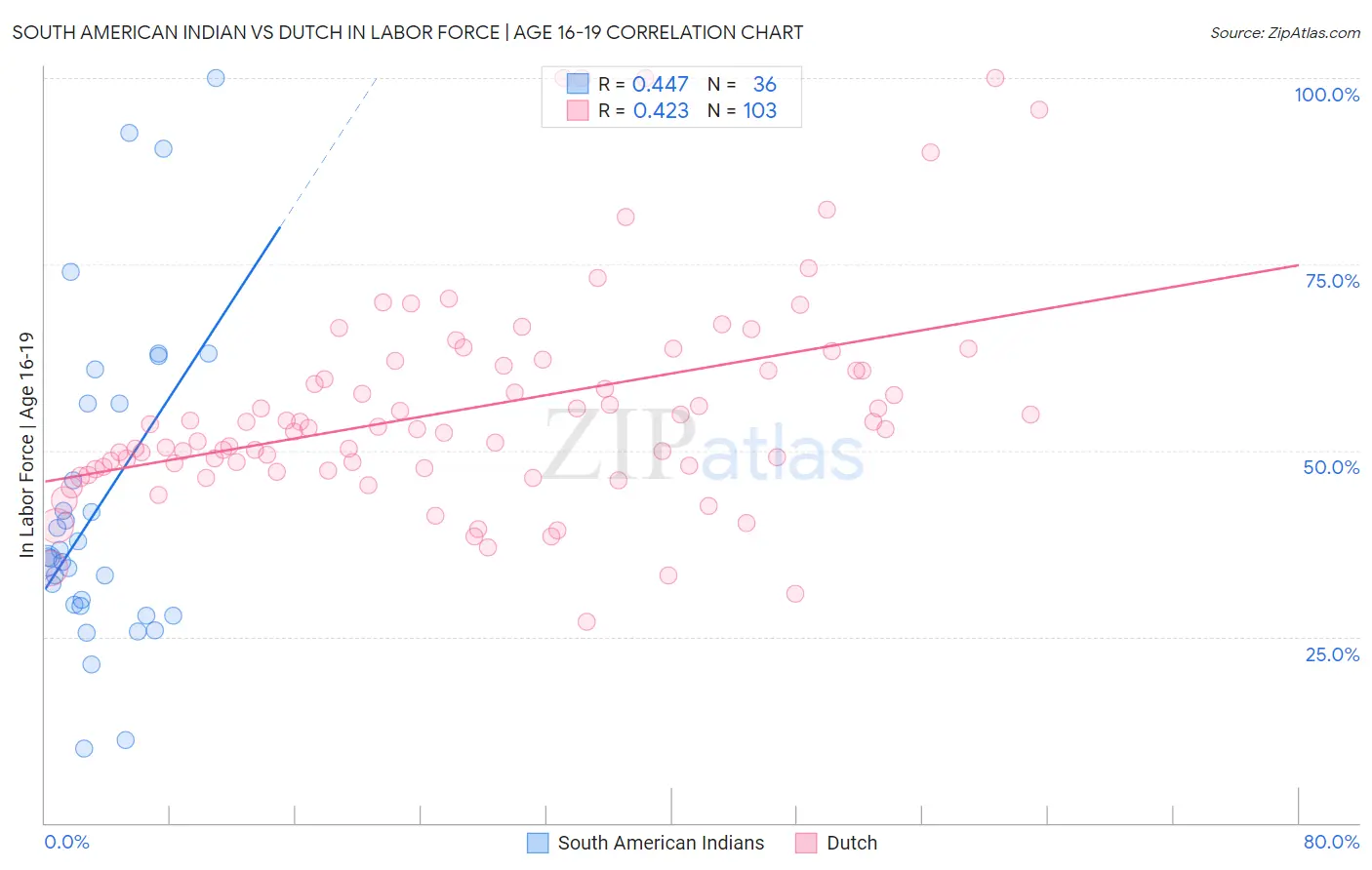 South American Indian vs Dutch In Labor Force | Age 16-19