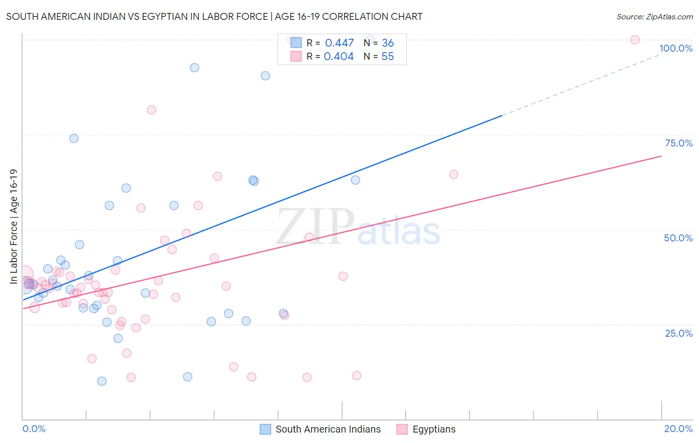South American Indian vs Egyptian In Labor Force | Age 16-19