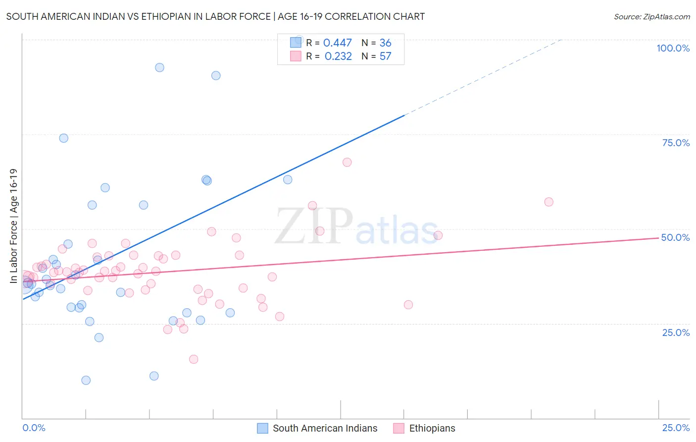 South American Indian vs Ethiopian In Labor Force | Age 16-19