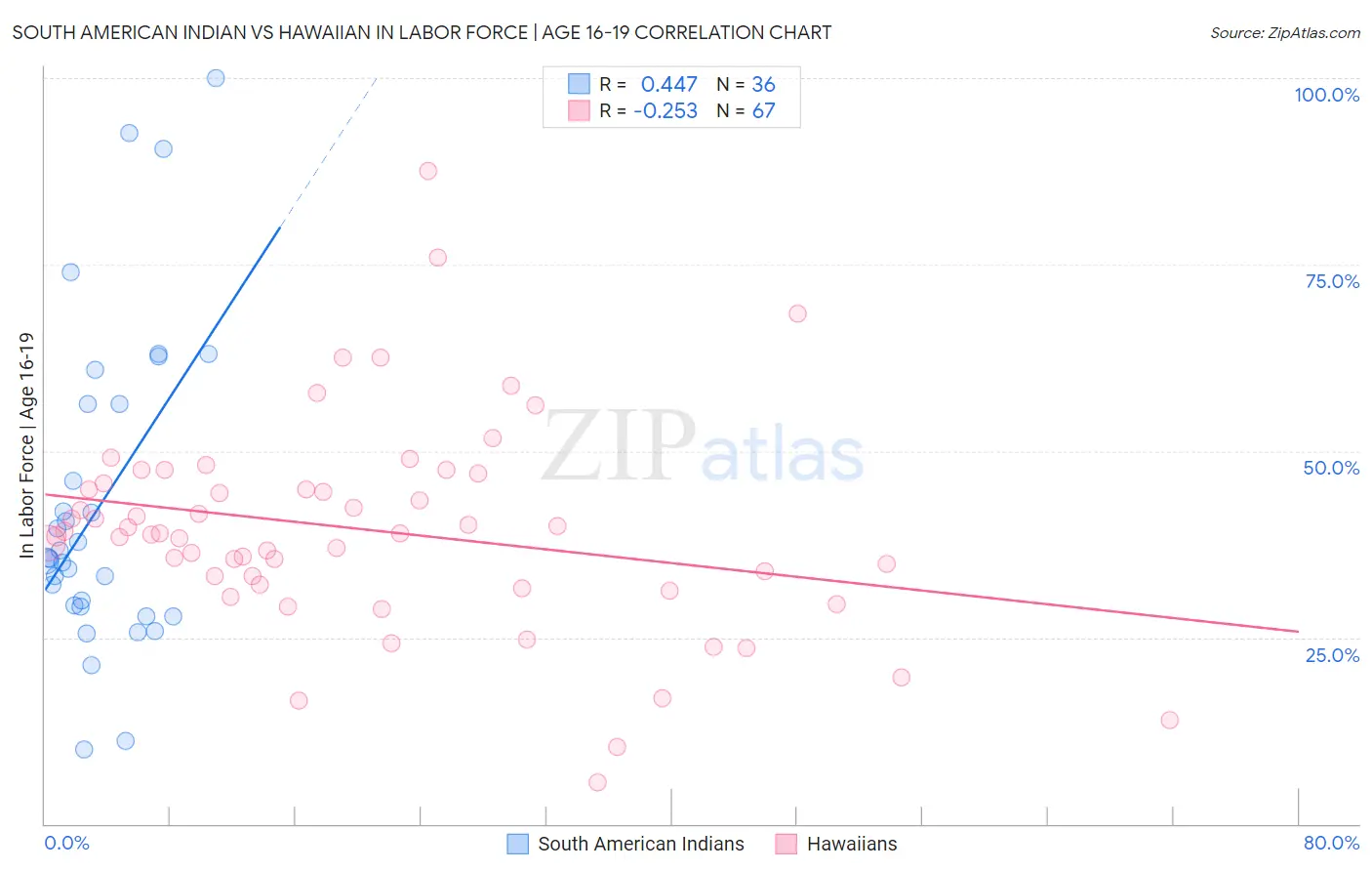 South American Indian vs Hawaiian In Labor Force | Age 16-19