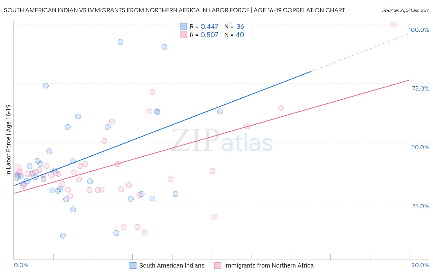 South American Indian vs Immigrants from Northern Africa In Labor Force | Age 16-19