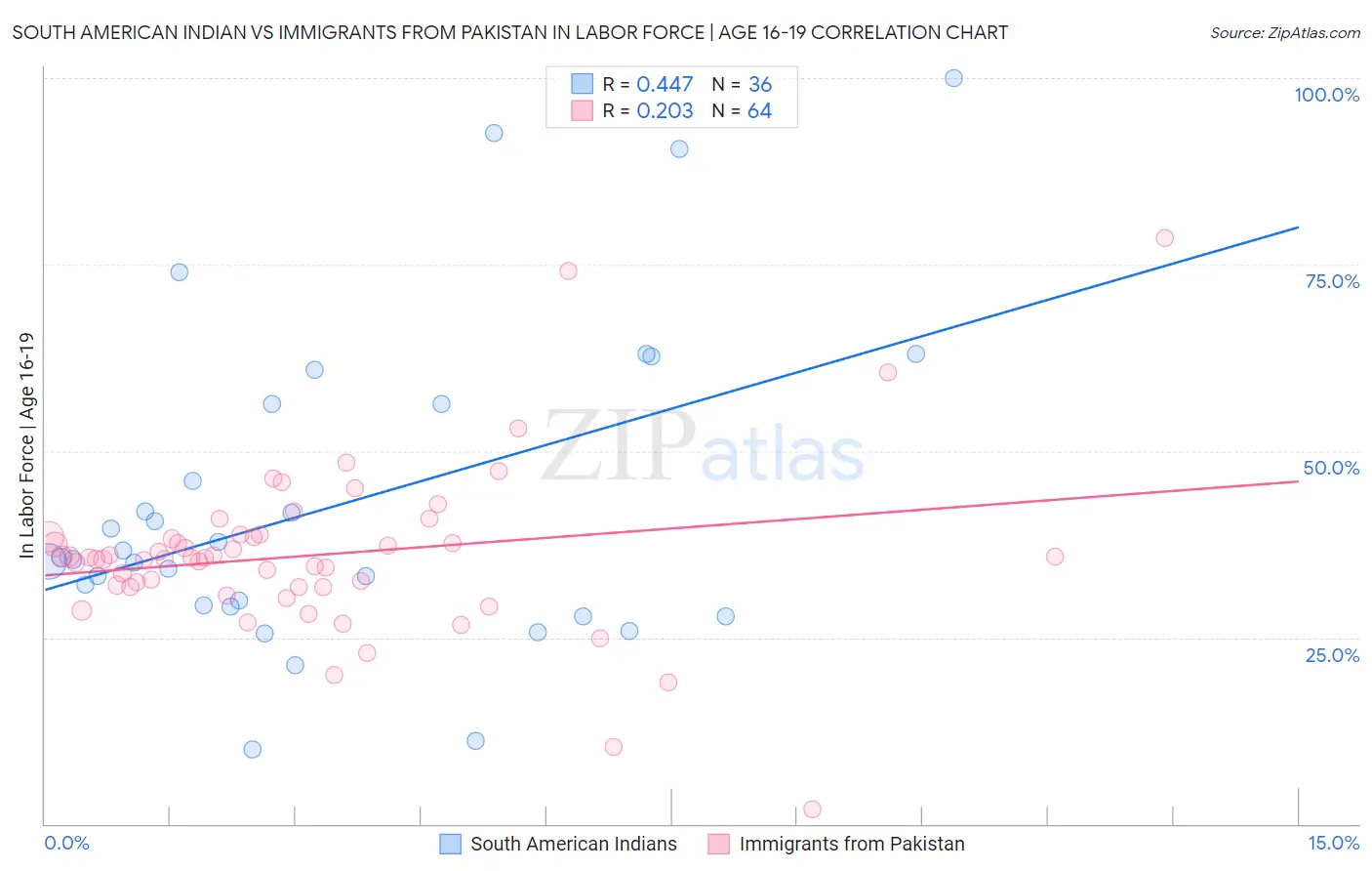 South American Indian vs Immigrants from Pakistan In Labor Force | Age 16-19