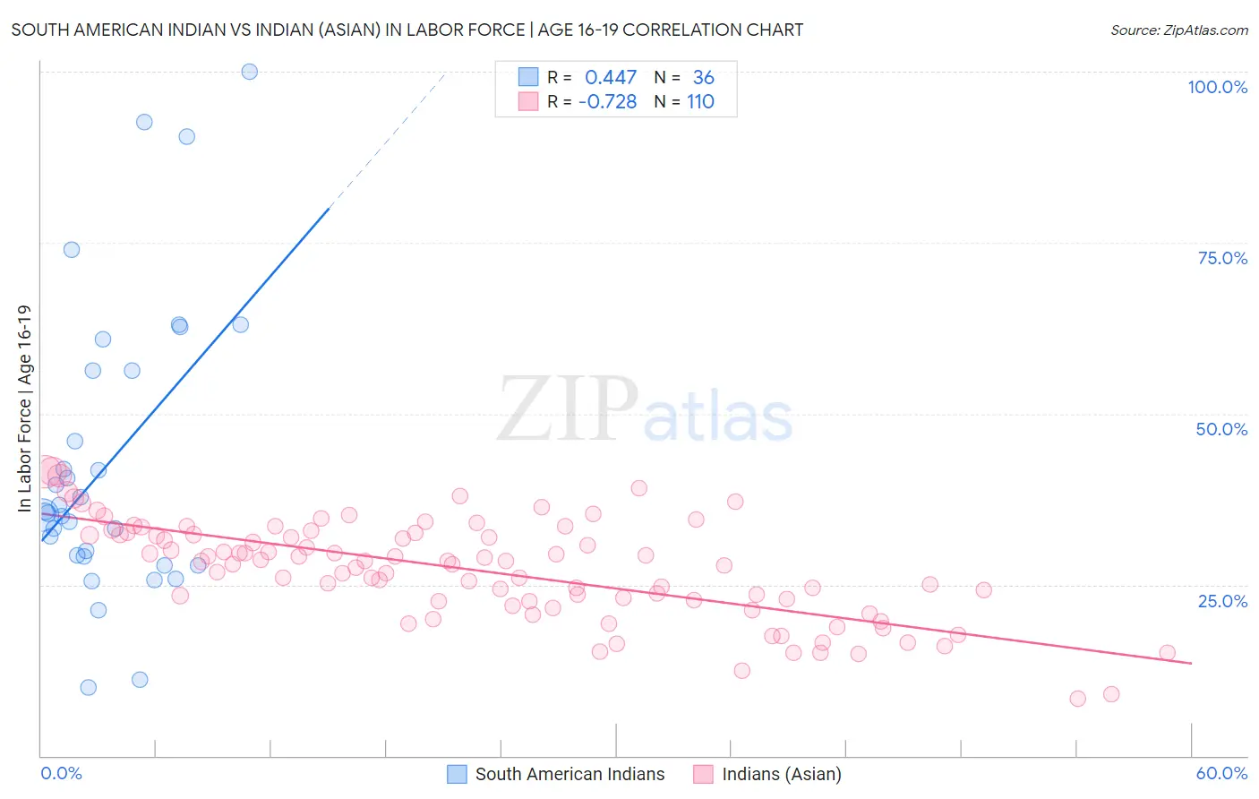 South American Indian vs Indian (Asian) In Labor Force | Age 16-19