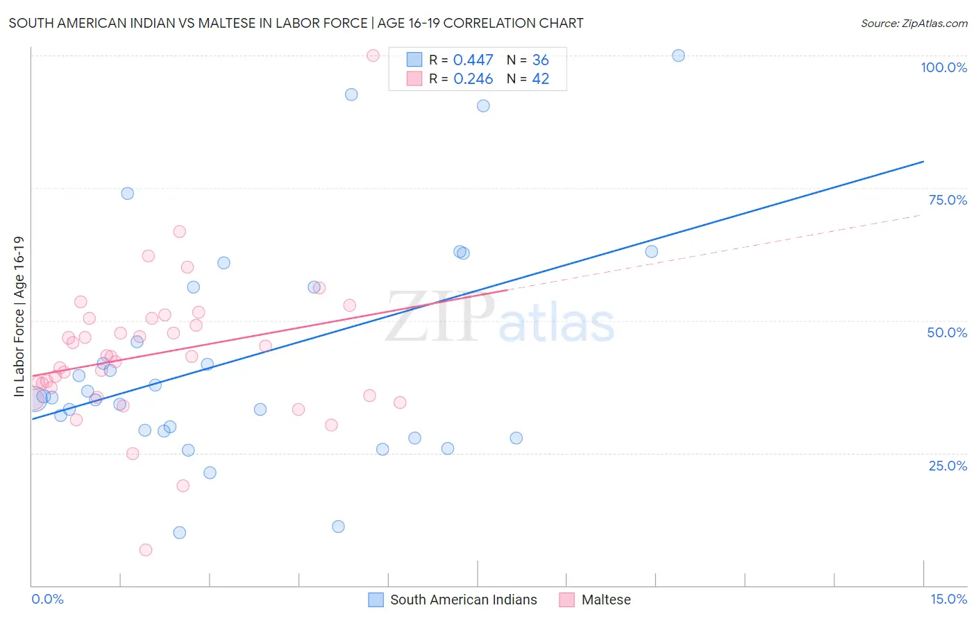 South American Indian vs Maltese In Labor Force | Age 16-19