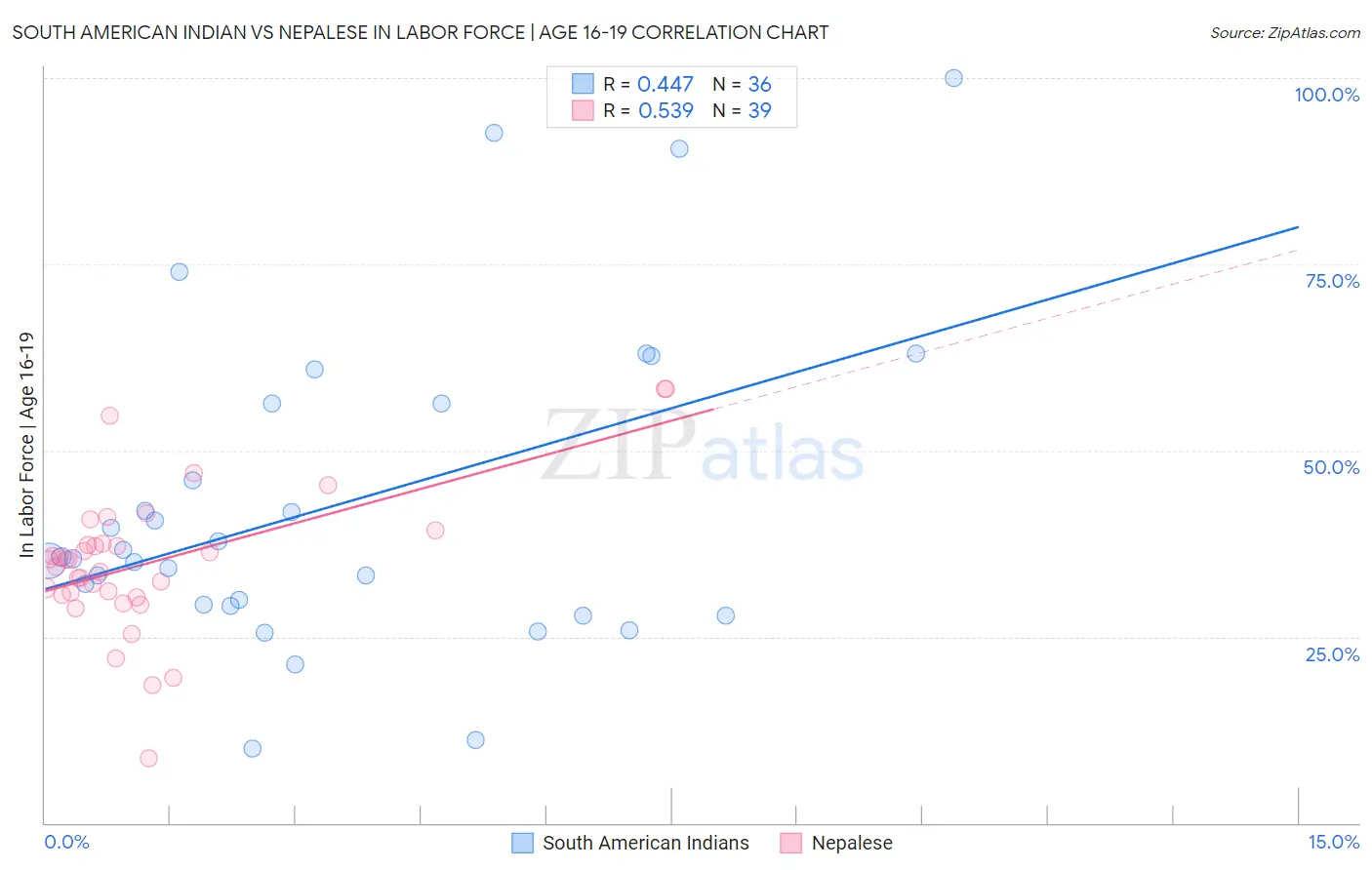 South American Indian vs Nepalese In Labor Force | Age 16-19