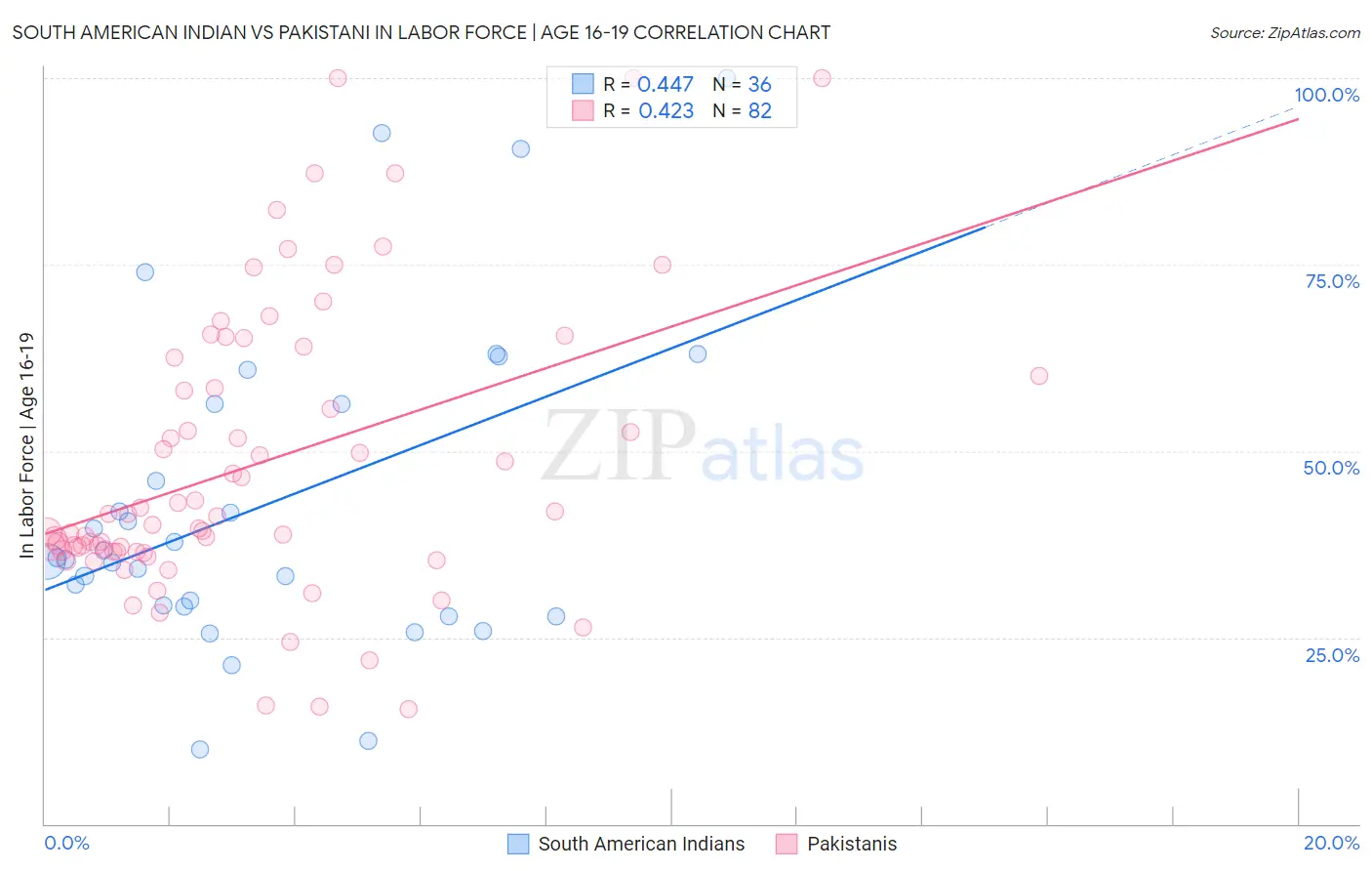 South American Indian vs Pakistani In Labor Force | Age 16-19