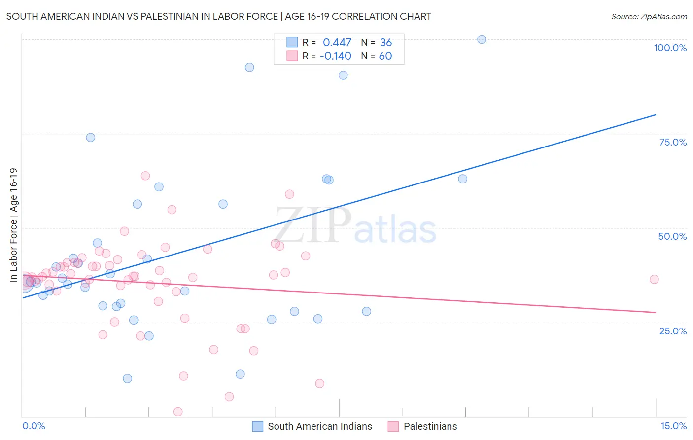South American Indian vs Palestinian In Labor Force | Age 16-19