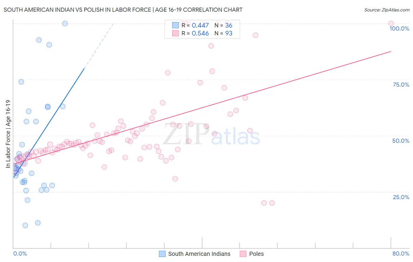 South American Indian vs Polish In Labor Force | Age 16-19