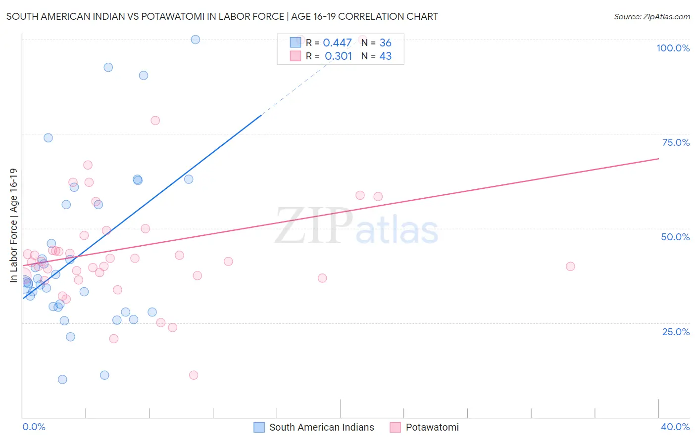 South American Indian vs Potawatomi In Labor Force | Age 16-19