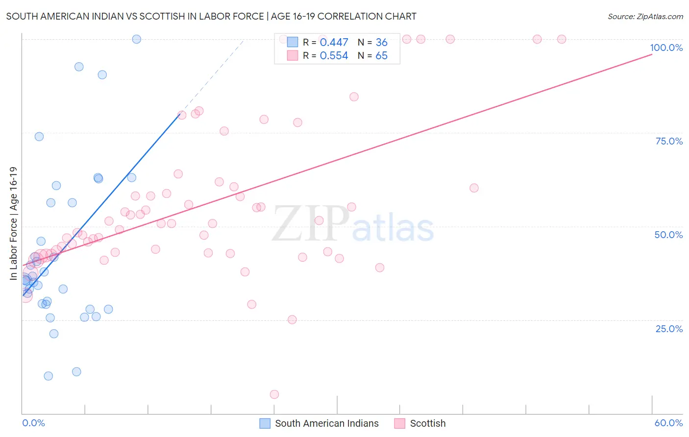 South American Indian vs Scottish In Labor Force | Age 16-19