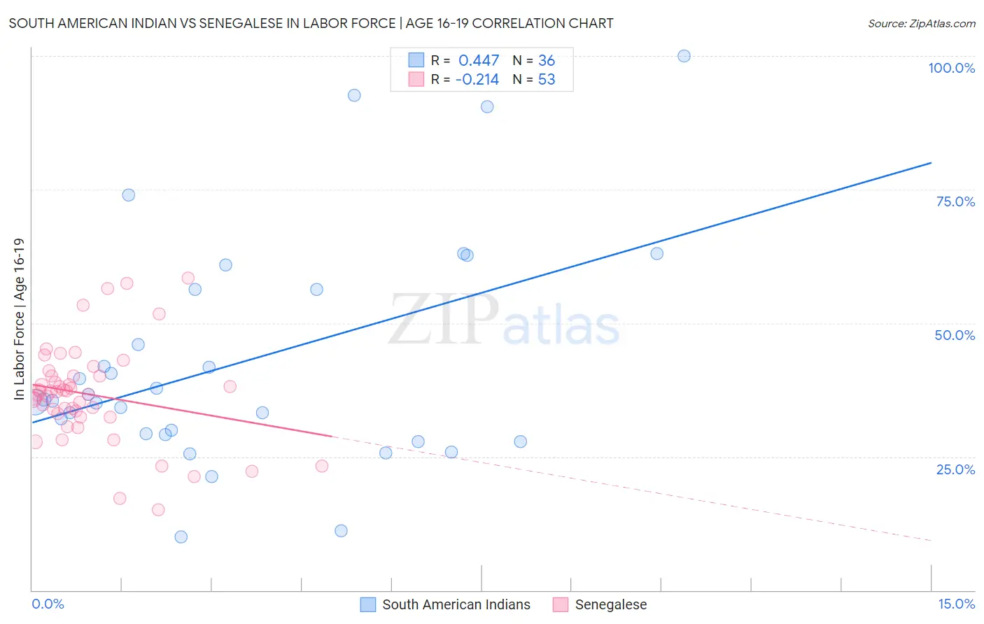 South American Indian vs Senegalese In Labor Force | Age 16-19