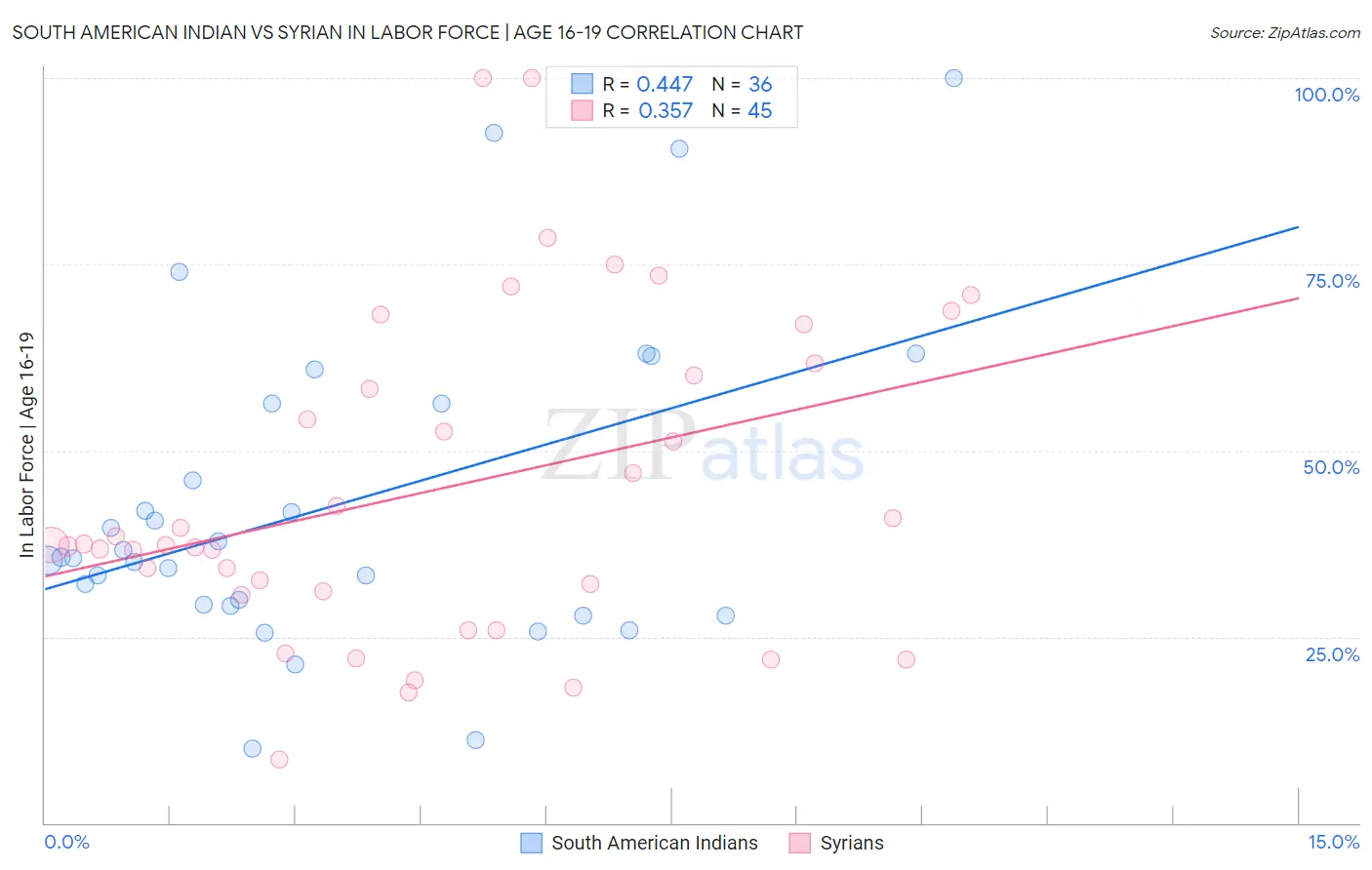 South American Indian vs Syrian In Labor Force | Age 16-19
