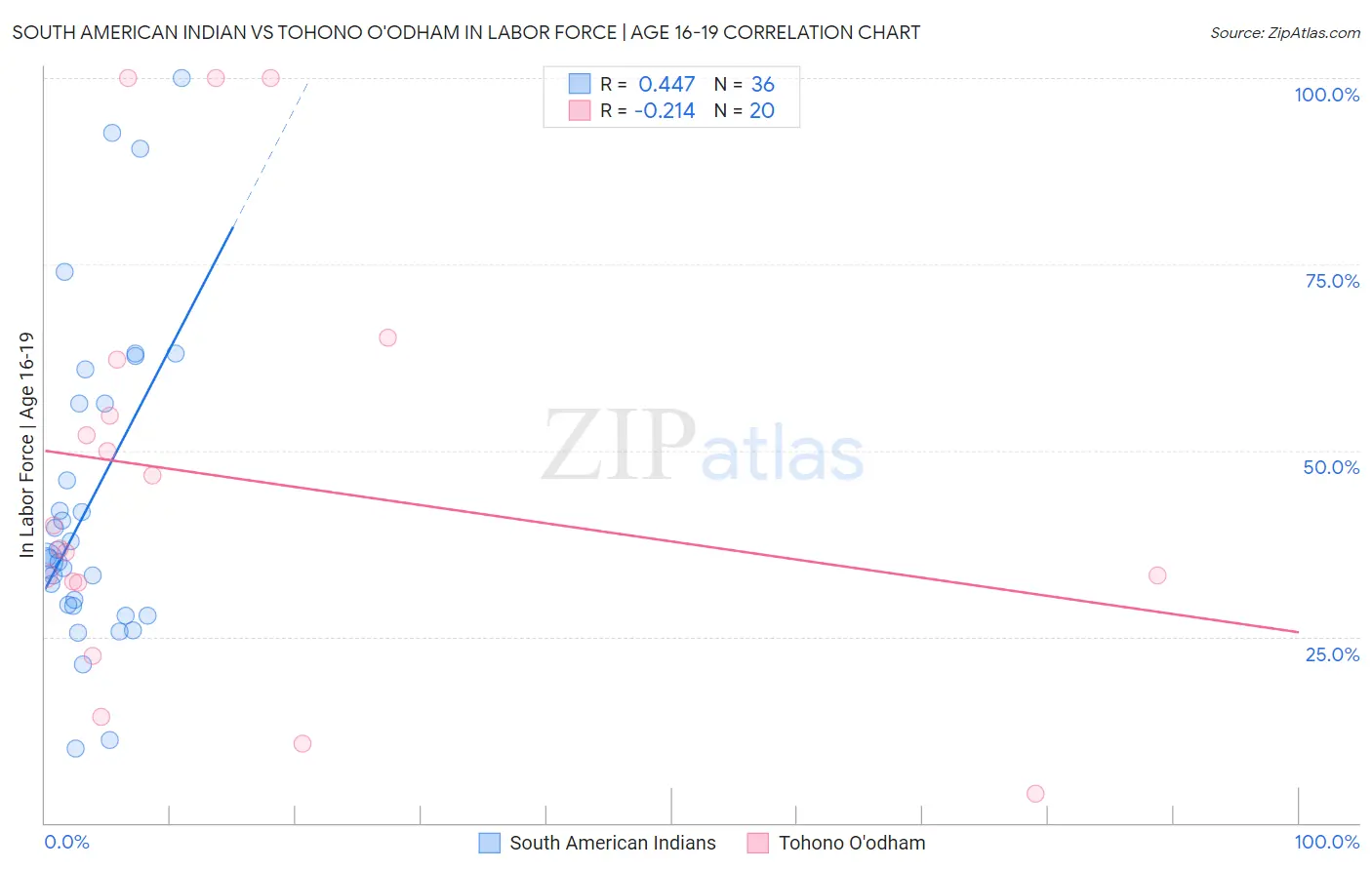 South American Indian vs Tohono O'odham In Labor Force | Age 16-19