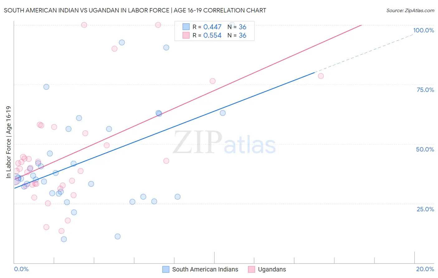 South American Indian vs Ugandan In Labor Force | Age 16-19
