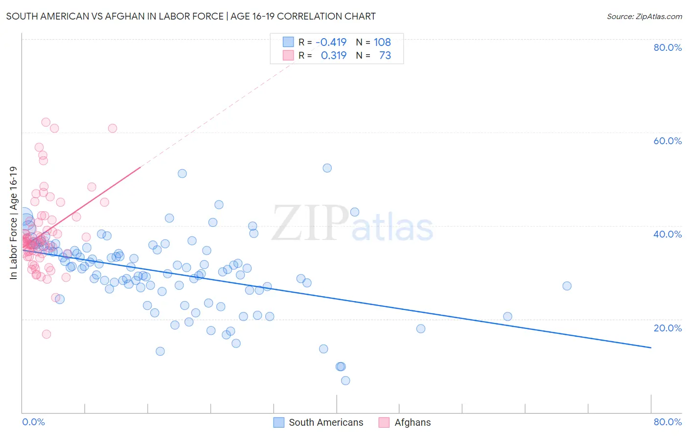 South American vs Afghan In Labor Force | Age 16-19