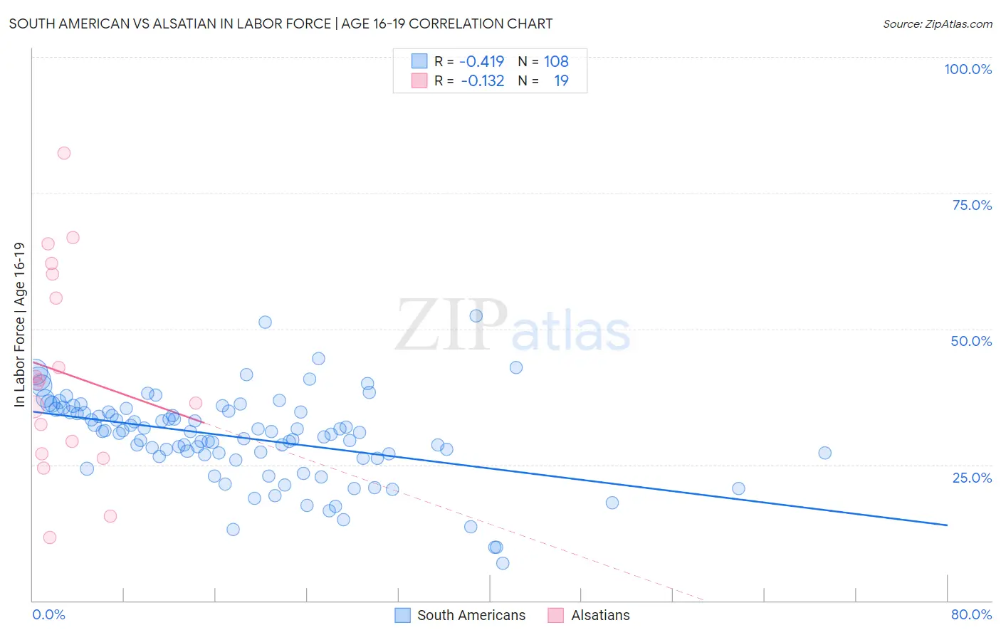 South American vs Alsatian In Labor Force | Age 16-19