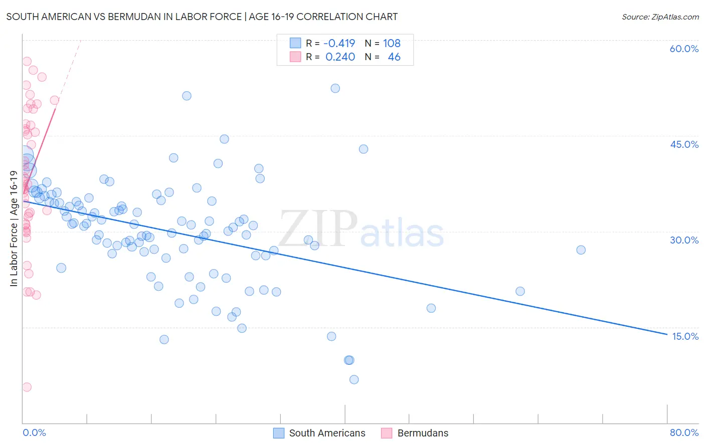 South American vs Bermudan In Labor Force | Age 16-19