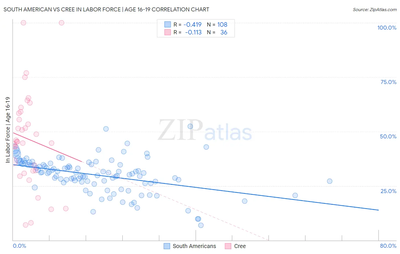 South American vs Cree In Labor Force | Age 16-19