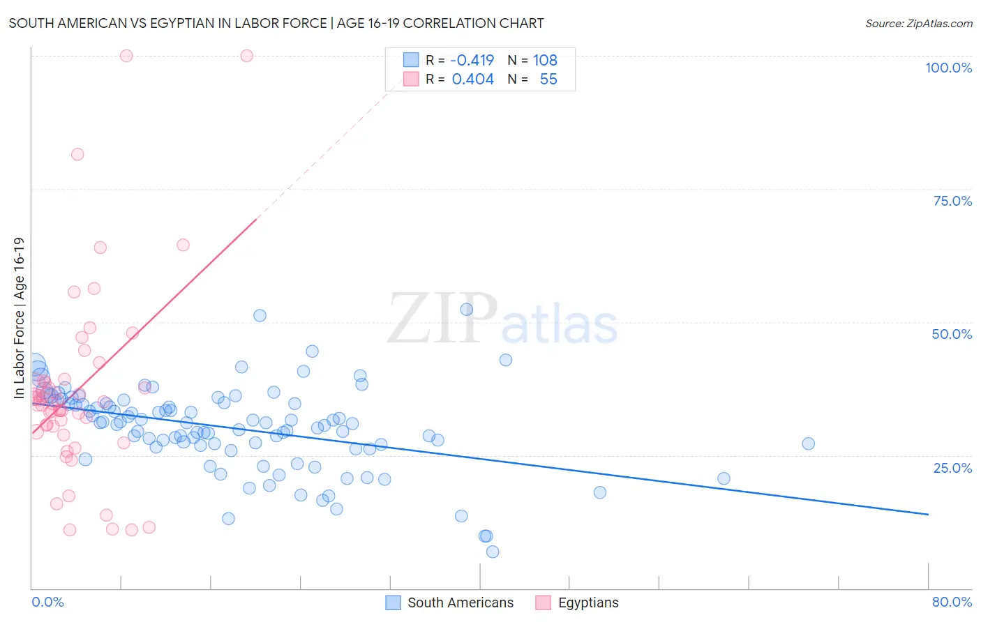 South American vs Egyptian In Labor Force | Age 16-19