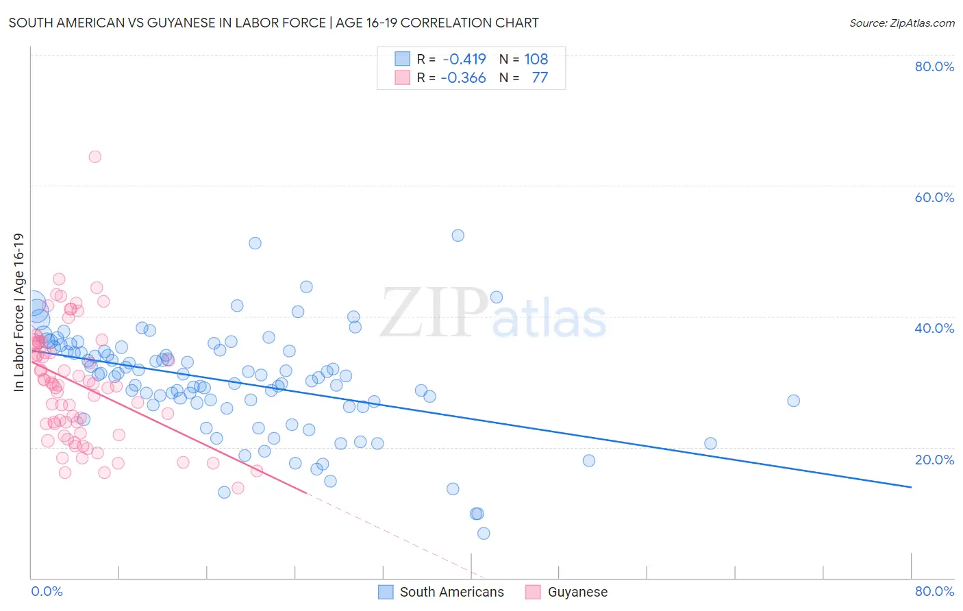 South American vs Guyanese In Labor Force | Age 16-19