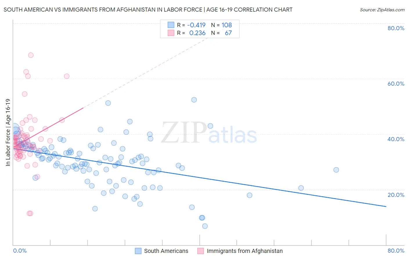 South American vs Immigrants from Afghanistan In Labor Force | Age 16-19