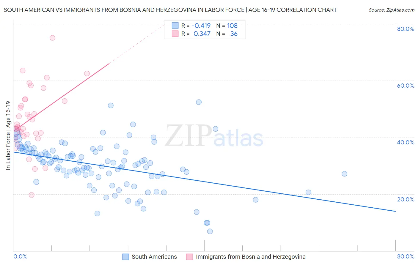 South American vs Immigrants from Bosnia and Herzegovina In Labor Force | Age 16-19