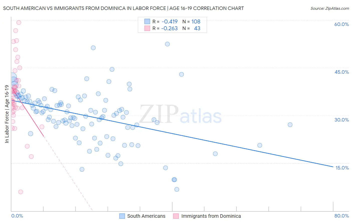 South American vs Immigrants from Dominica In Labor Force | Age 16-19
