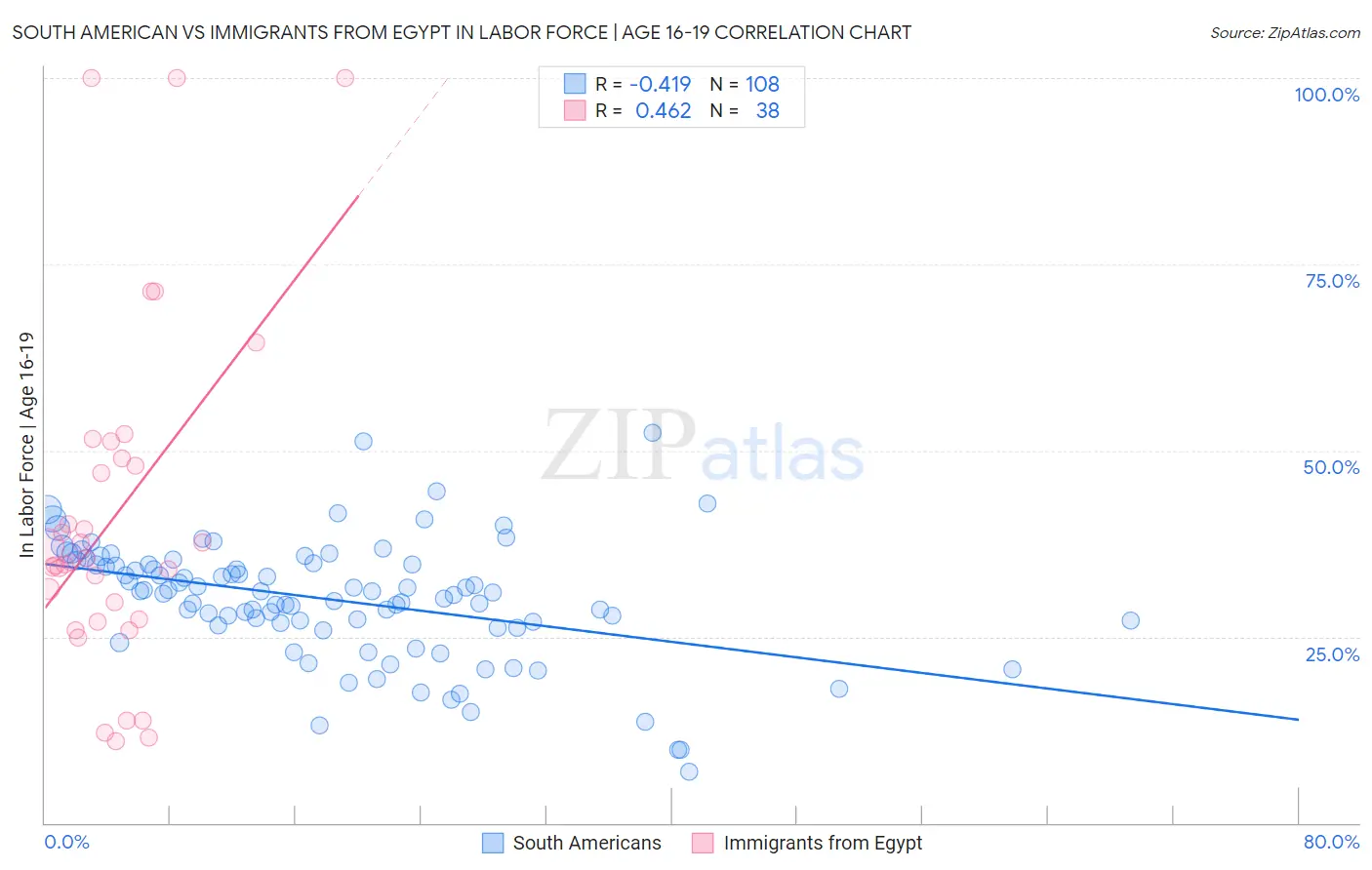 South American vs Immigrants from Egypt In Labor Force | Age 16-19