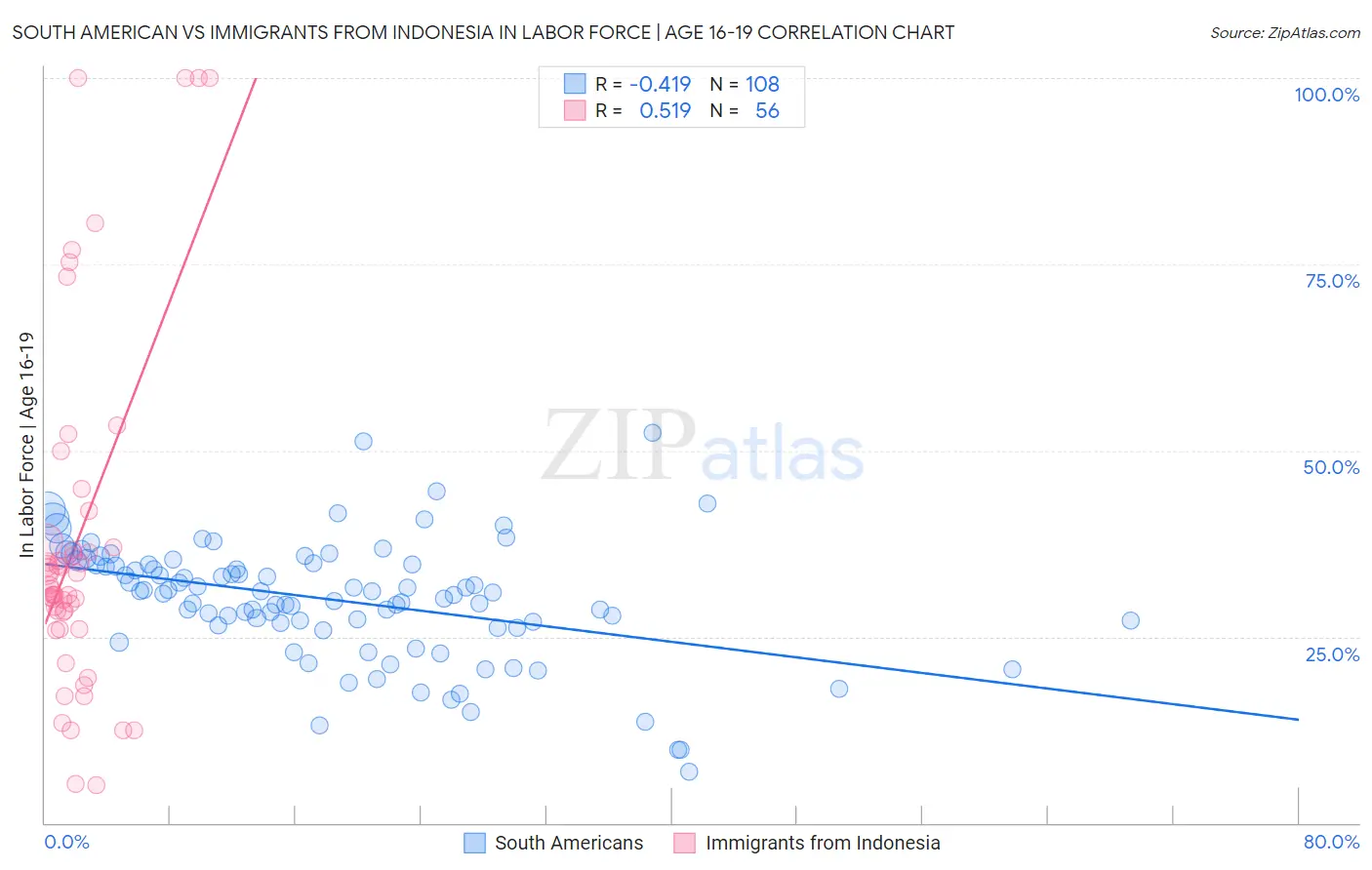 South American vs Immigrants from Indonesia In Labor Force | Age 16-19