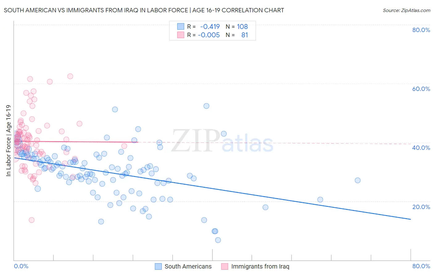 South American vs Immigrants from Iraq In Labor Force | Age 16-19