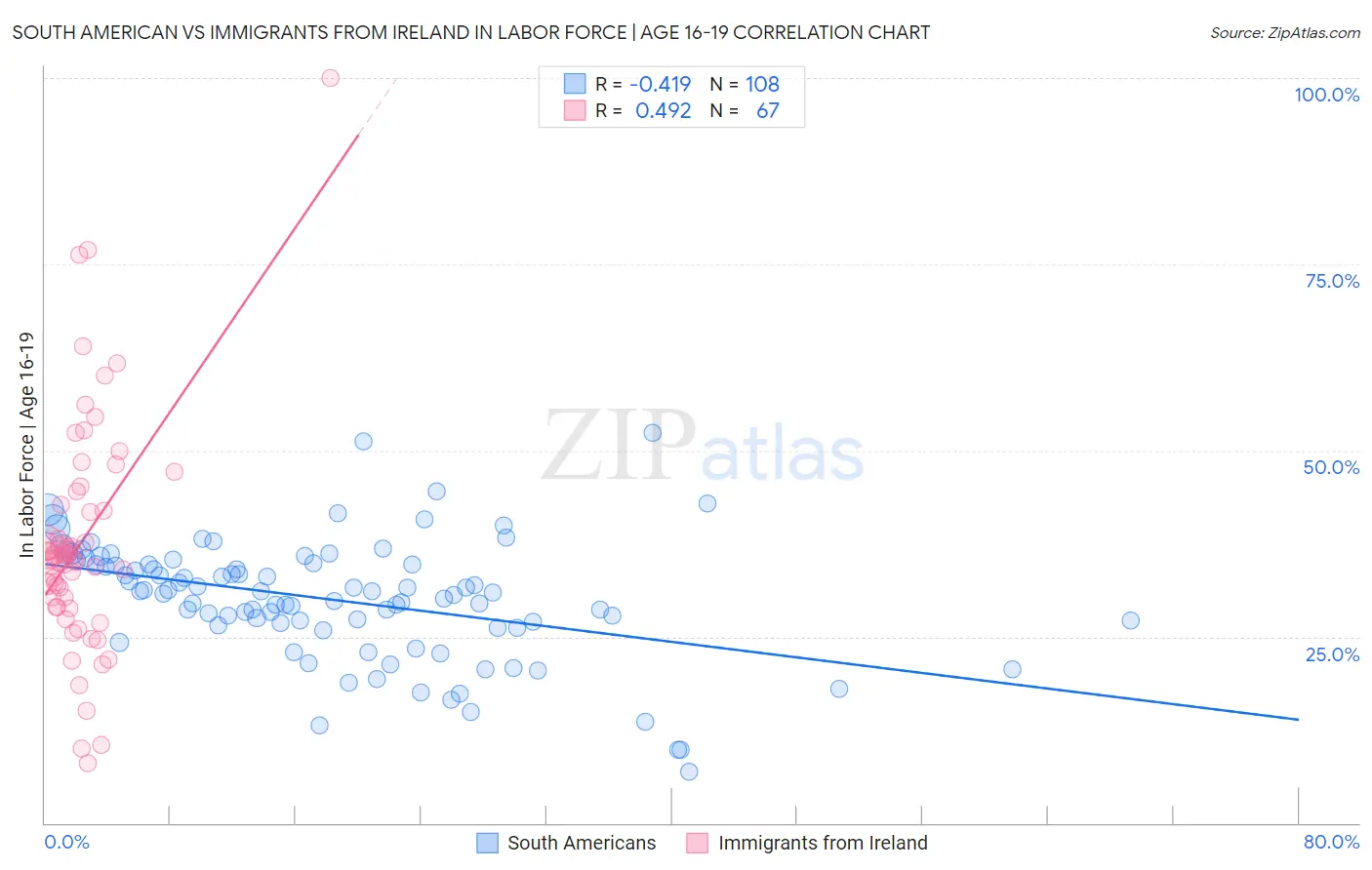 South American vs Immigrants from Ireland In Labor Force | Age 16-19