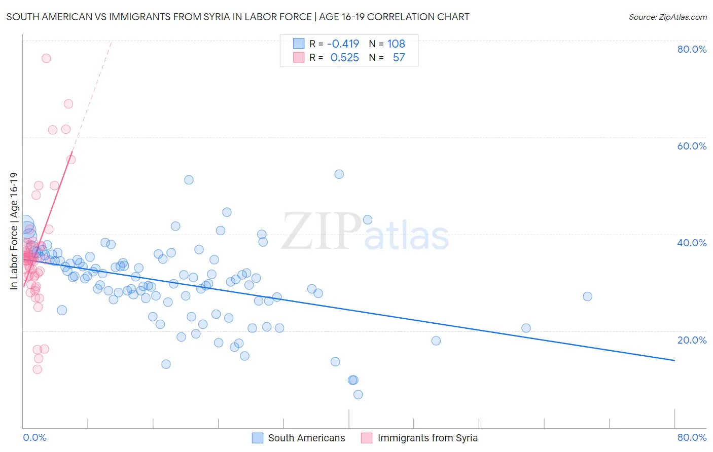 South American vs Immigrants from Syria In Labor Force | Age 16-19